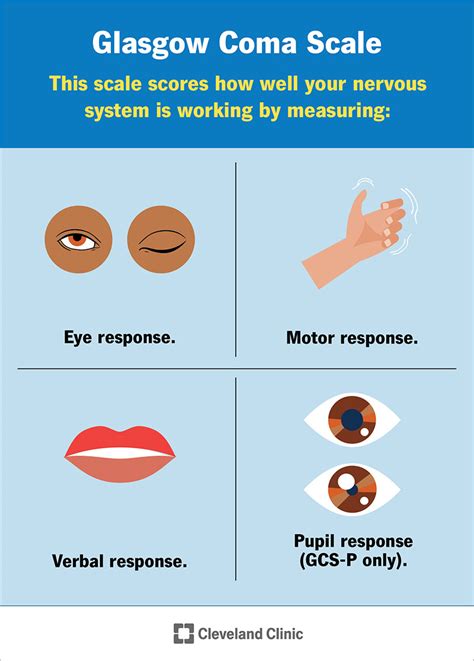 Glasgow Coma Scale (GCS): What It Is, Interpretation。